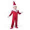 Fun World The Elf on the Shelf Toddler Christmas Costume - Medium, 4T